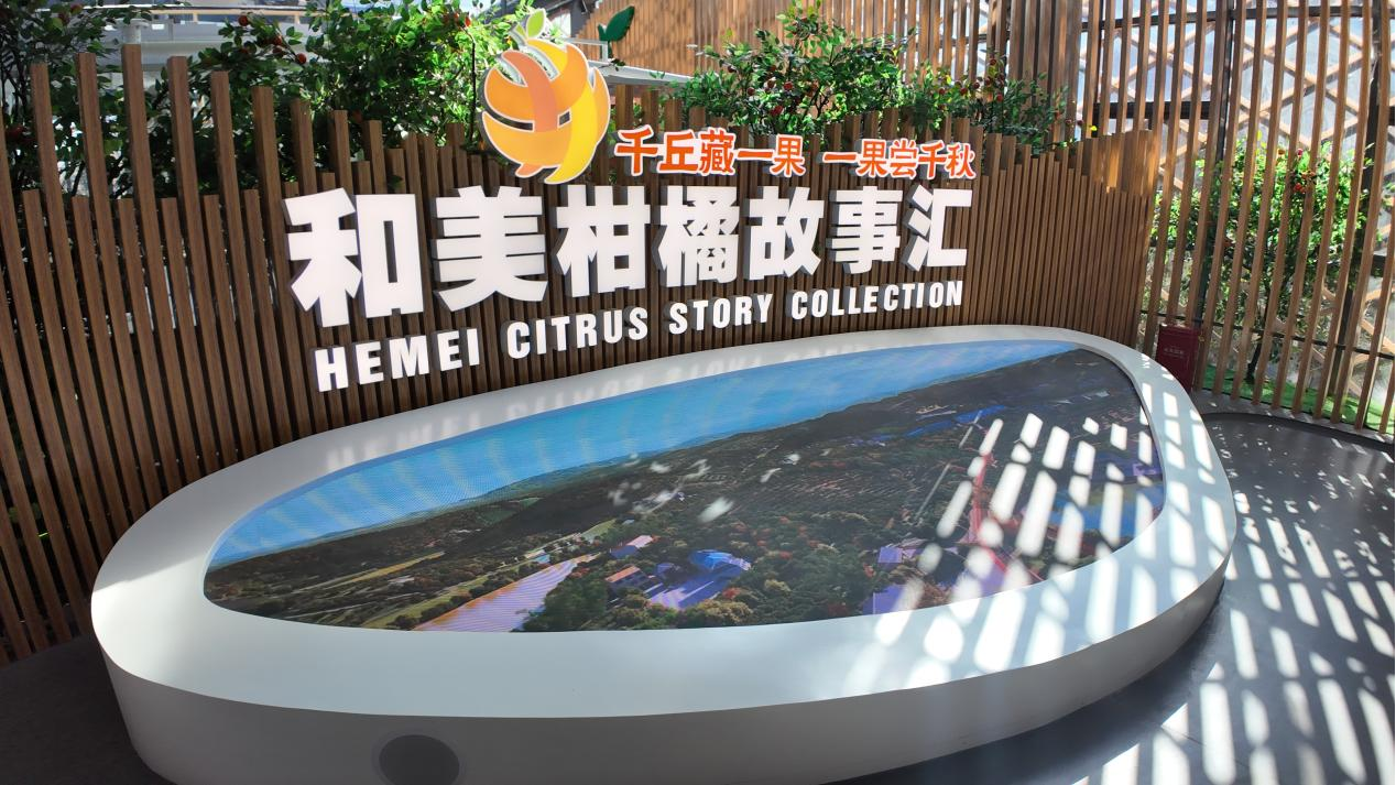 感官體驗(yàn)：中展集團(tuán)在展廳設(shè)計(jì)中的觸覺(jué)、嗅覺(jué)與味覺(jué)探索